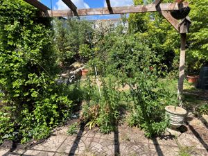 Photo 2- click for photo gallery